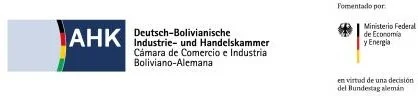 CAMARA DE COMERCIO BOLIVIANA ALEMANA PASANT